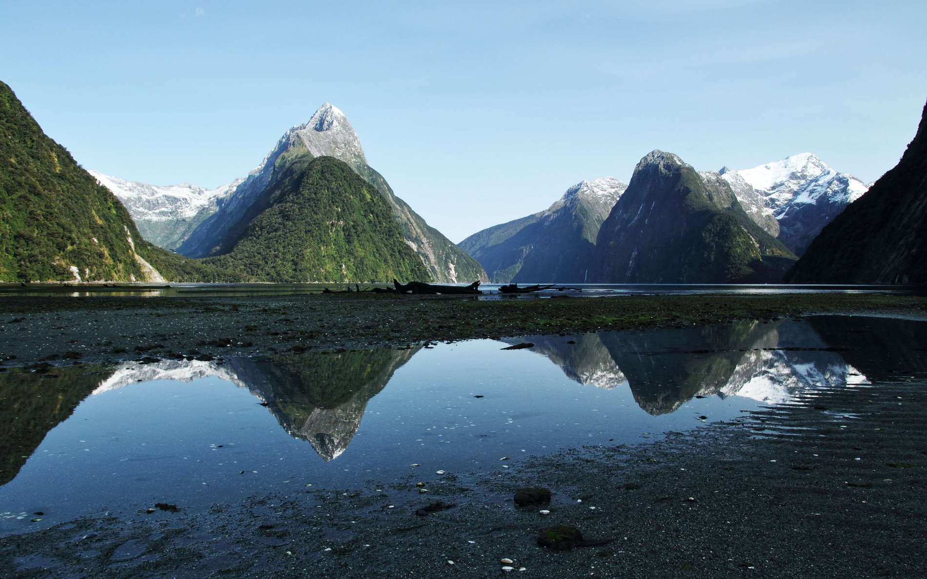 Milford Sound / Piopiotahi  |  Reflections