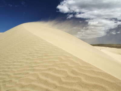 Te Paki  |  Wind in the dunes