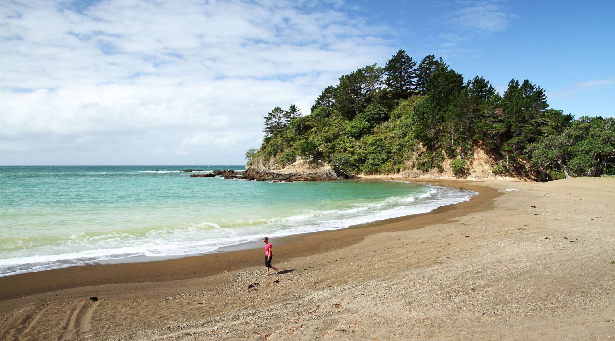 Wainui Bay