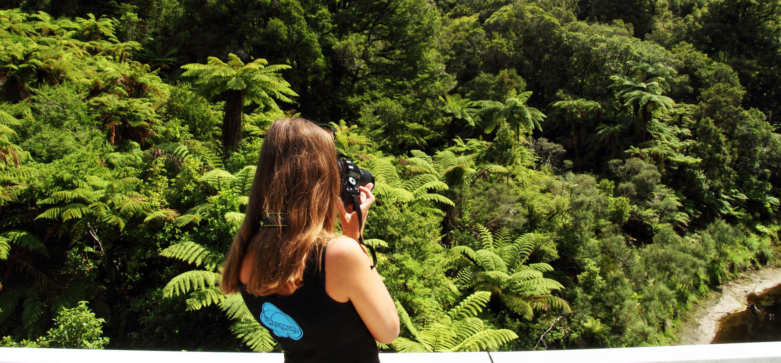 Forgotten World Highway  |  Tangarakau Gorge