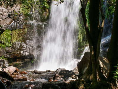 Río Cachapoal Valley  |  Waterfall