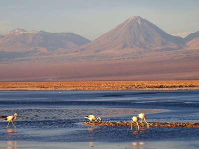 Salar de Atacama and Volcán Licancabur