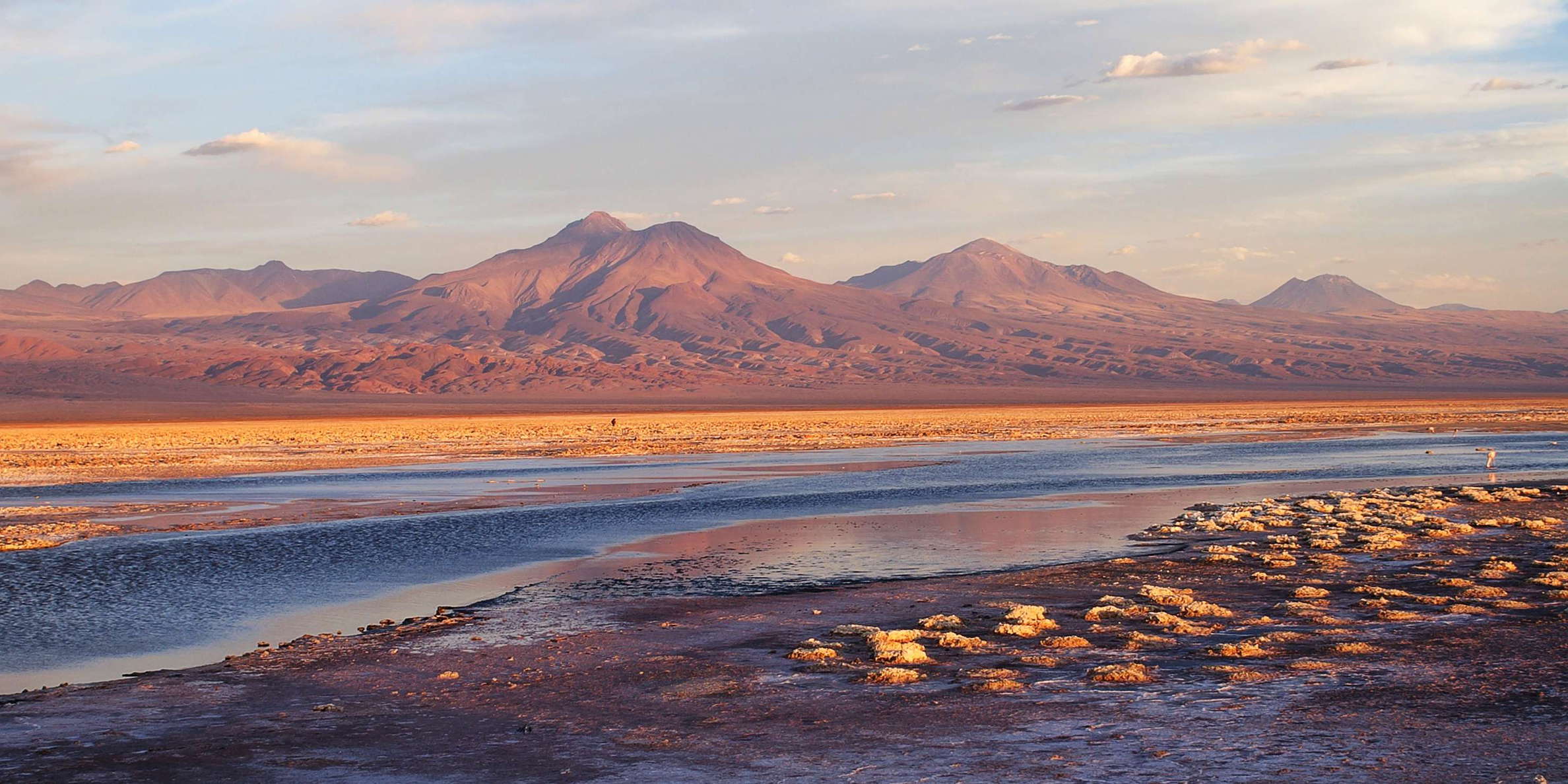 Salar de Atacama | Laguna de Chaxa at sunset