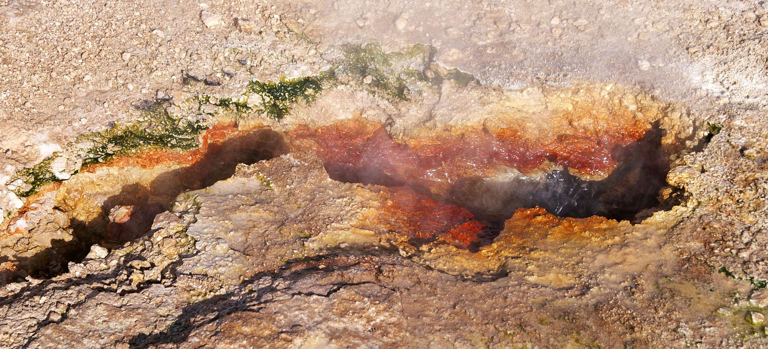 The geothermal field of El Tatio - often referred to as a geyser field due to its large number of geysers - is located at an elevation of 4320 m a.s.l. It is a major tourist attraction, but there has also been controversy about a possible exploitation of the geothermal energy. WI_ch362.jpg