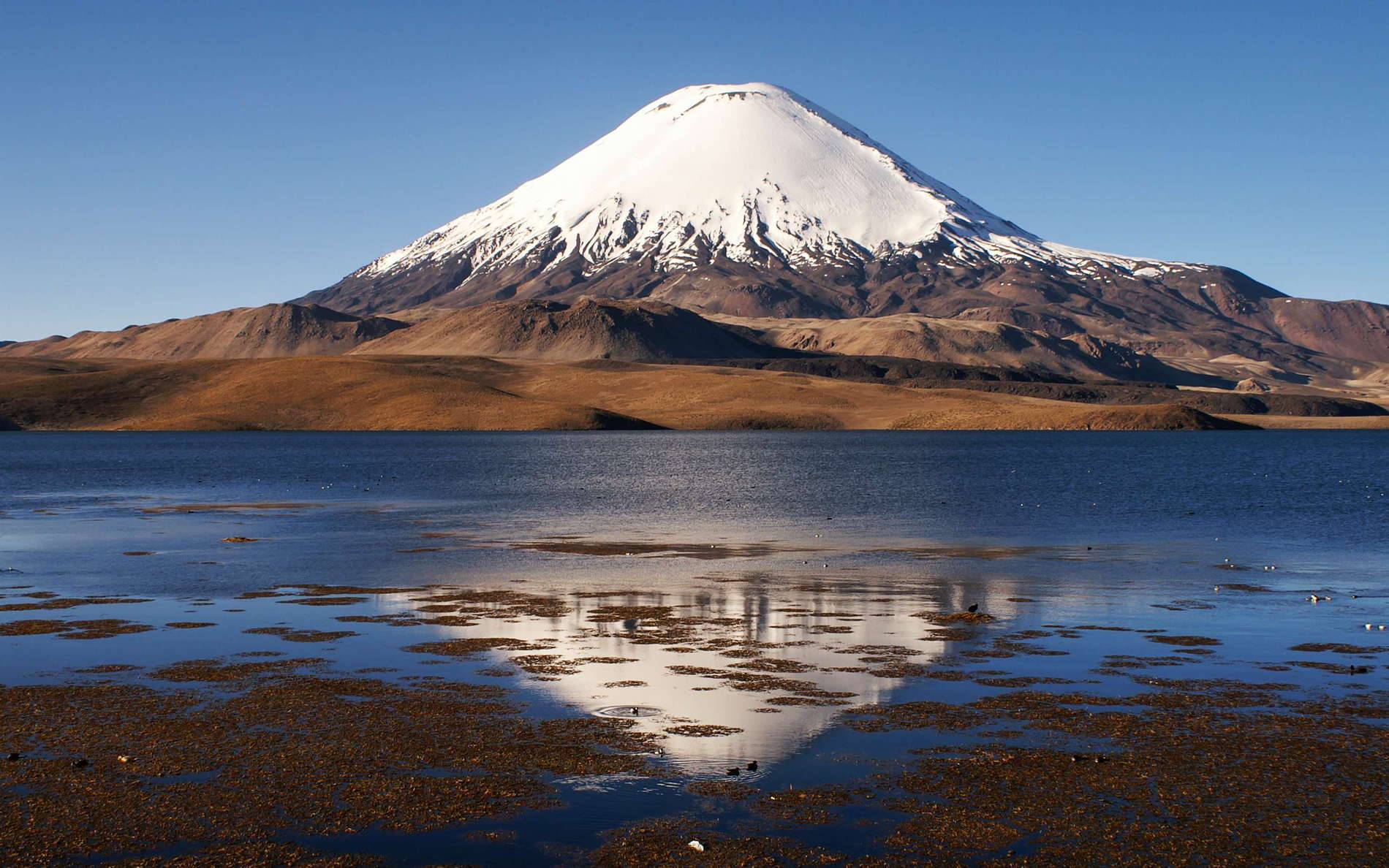 The Lago de Chungará (4520 m a.s.l.) has been impounded by the deposit of a 6 km³ rock/debris avalanche originating from a volcanically induced collapse of the slopes of the now dormant Volcán Parinacota (6348 m, reflecting in the lake) approx. 8000 years ago. WI_ch395.jpg