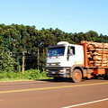 Misiones | Timber transport