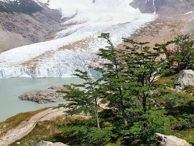 PN Los Glaciares  |  Laguna Torre and Glaciar Grande