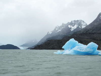 PN Torres del Paine  |  Lago Grey with icebergs