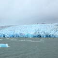 PN Torres del Paine | Glaciar Grey