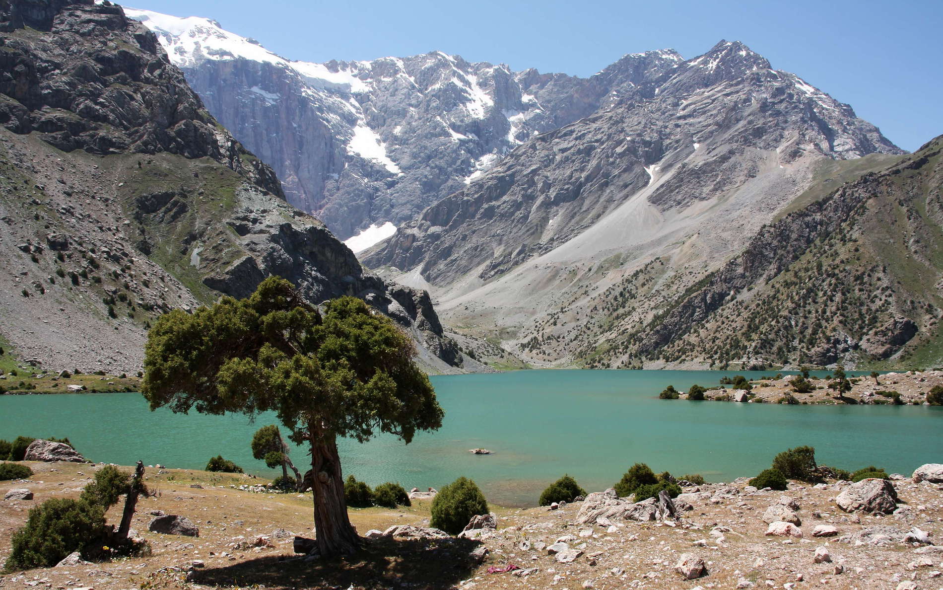 Juniperus sp. in the foreground. The slopes of Chimtarga, the highest peak of the Fan Mountains (summit elevation: 5489 m) are seen in the central background. WI_tj510.jpg