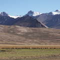 Alichur Pamir  |  Herd of wild yak