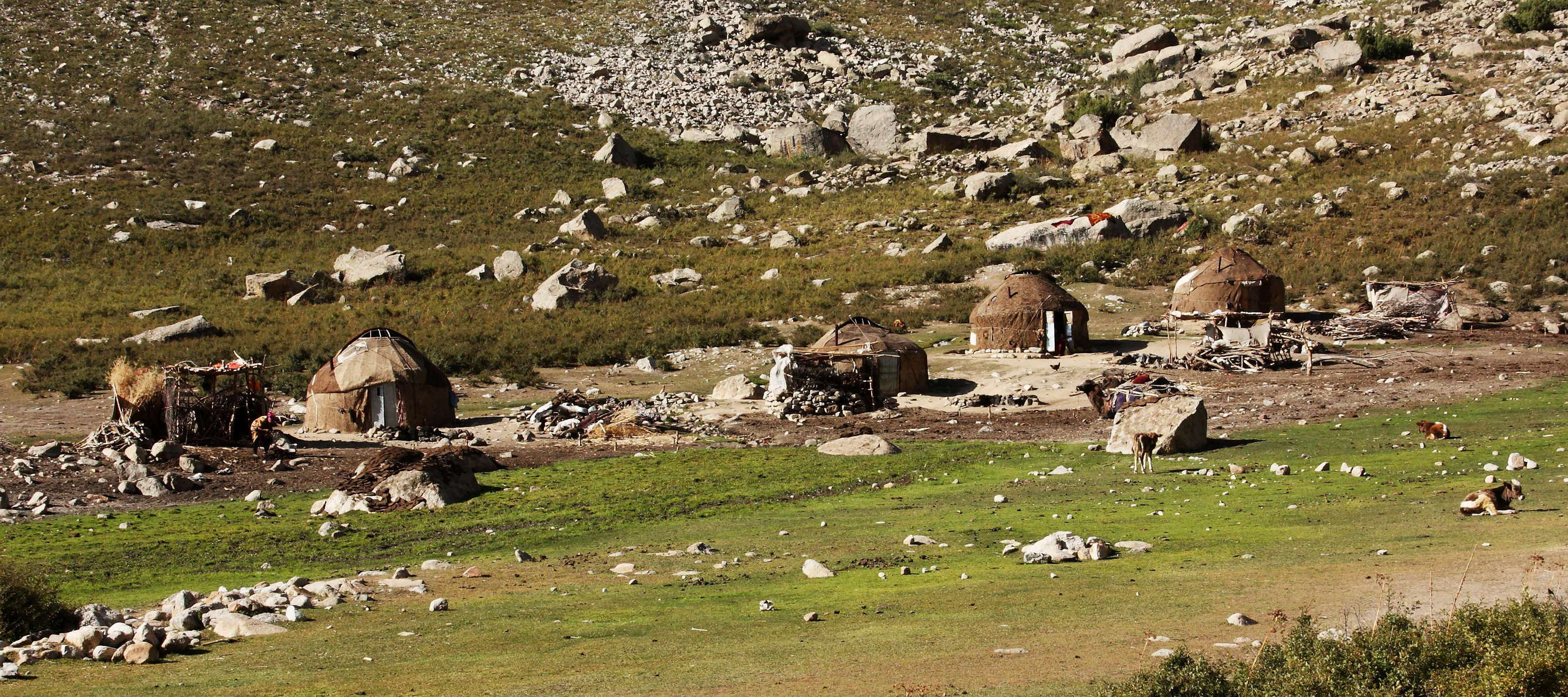 Pitowkul Valley  |  Kyrgyz camp