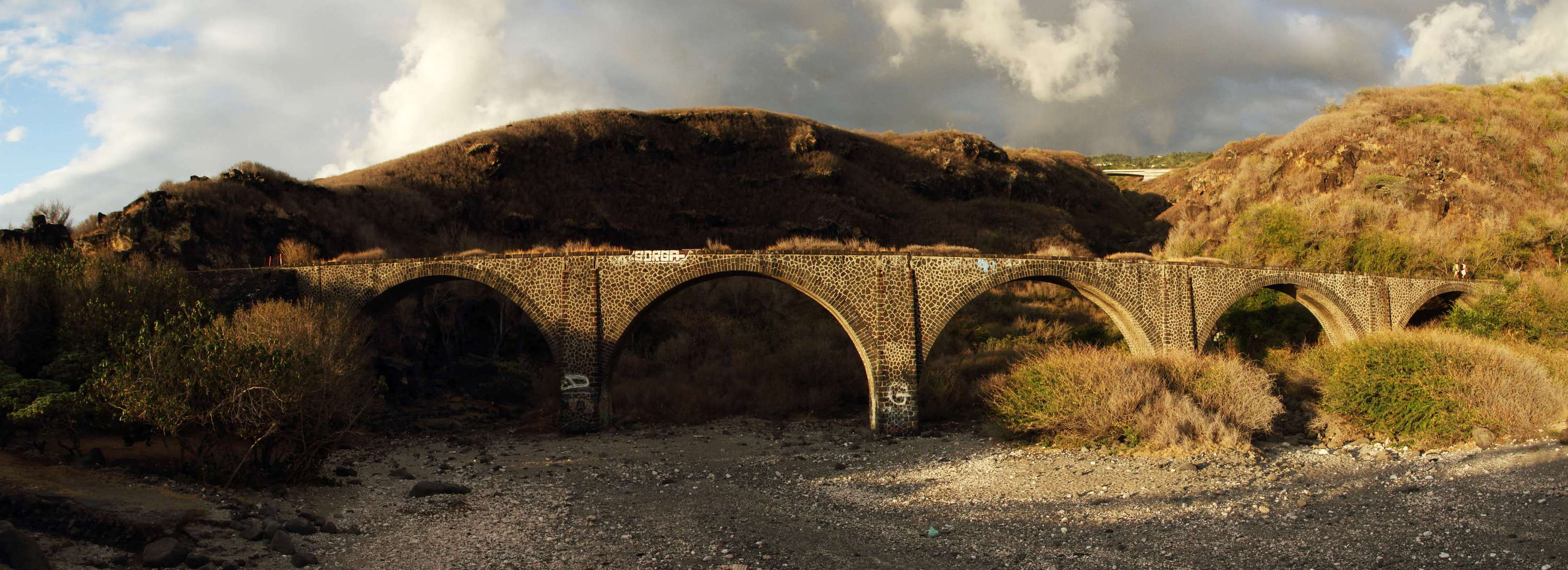 The old railway bridge in the foreground (now out of service) dates back to 1881, the newer motorway bridge is visible in the right central background. WI_re036.jpg