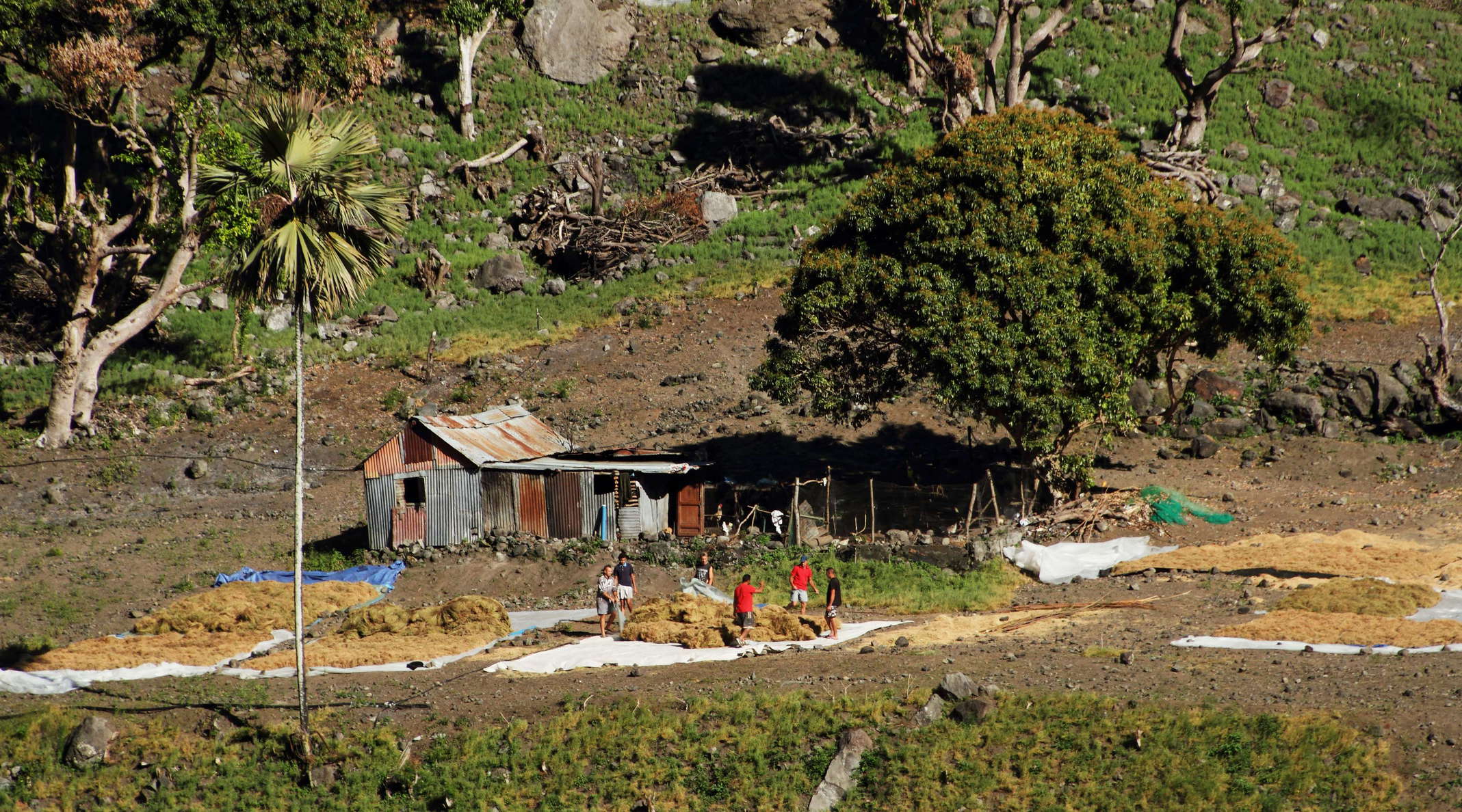 Cirque de Cilaos  |  Farmstead