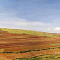 Western Kenya  |  Agricultural boundary