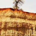 Murchison Falls NP  |  Soil profile