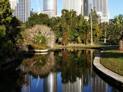 Sydney  |  Royal Botanic Gardens and CBD