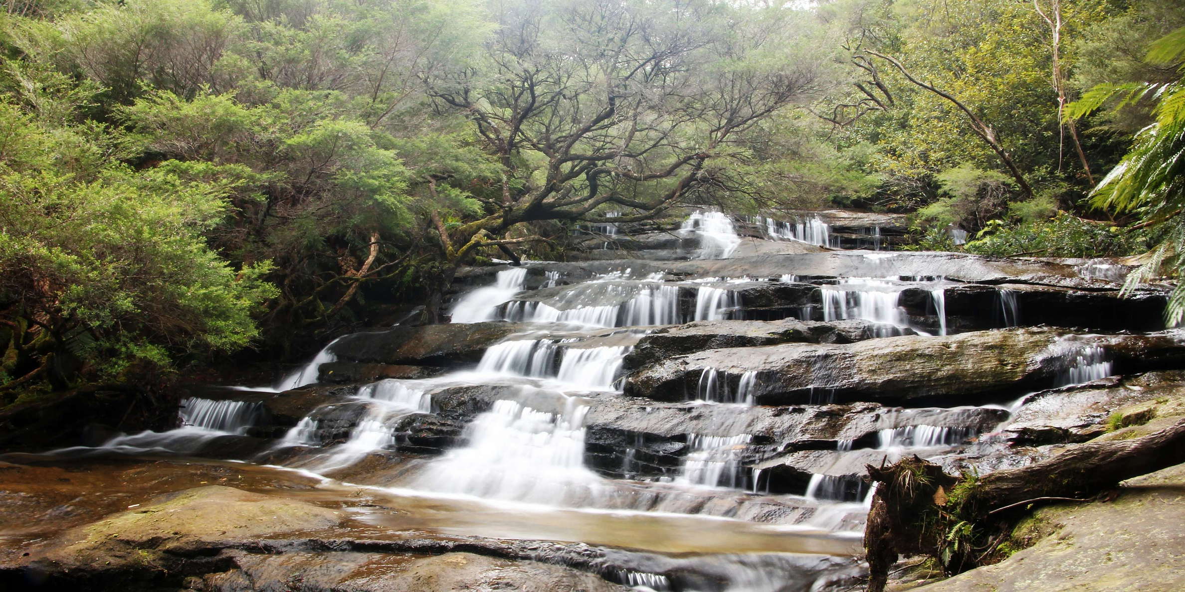 Leura Cascades