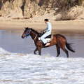 Coffs Harbour  |  Boambee Beach with horse