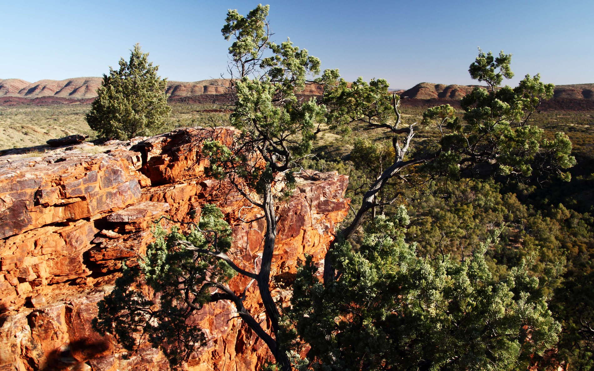 Serpentine Gorge outlook with Callitris