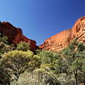 Watarrka NP  |  Kings Canyon with riverine forest