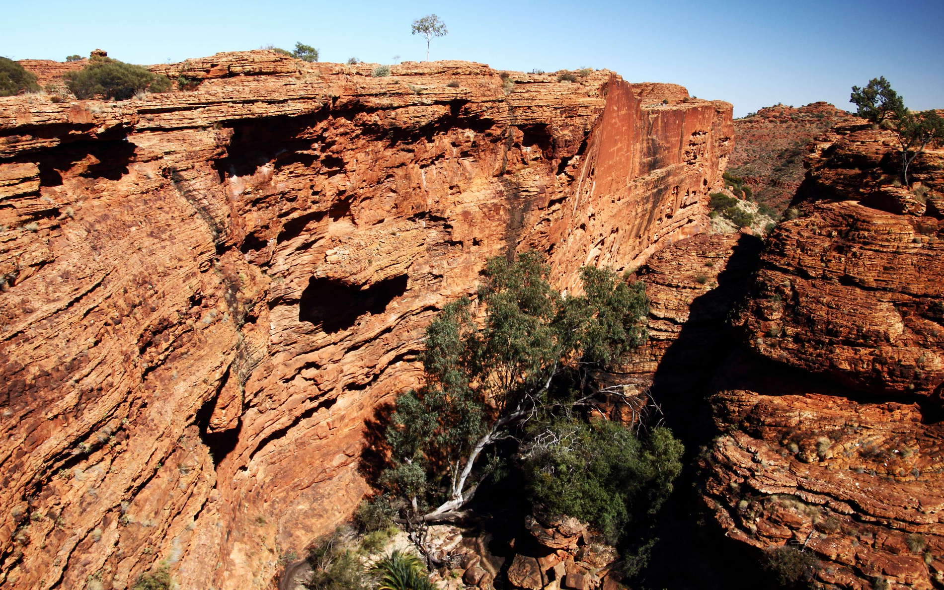 Viewpoint near the Kings Canyon Rim Walk, view to the canyon bottom directly downstream of the Garden of Eden. The canyon's escarpments consist mainly of the aeolian Mereenie sandstone overlaying the older and more erodible Carmichael Sandstone. WI_nt051a.jpg