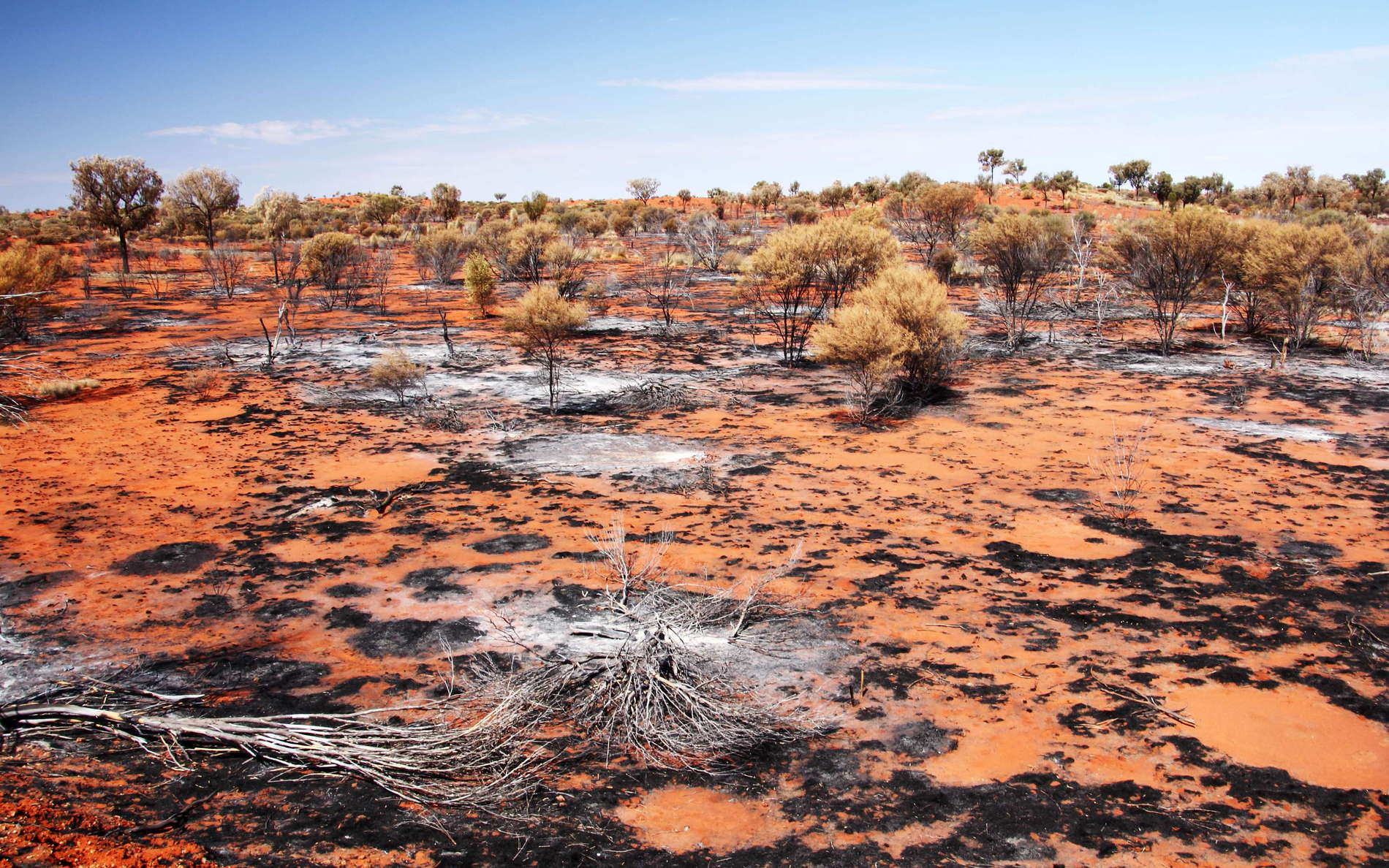 Lasseter Highway  |  Burnt area