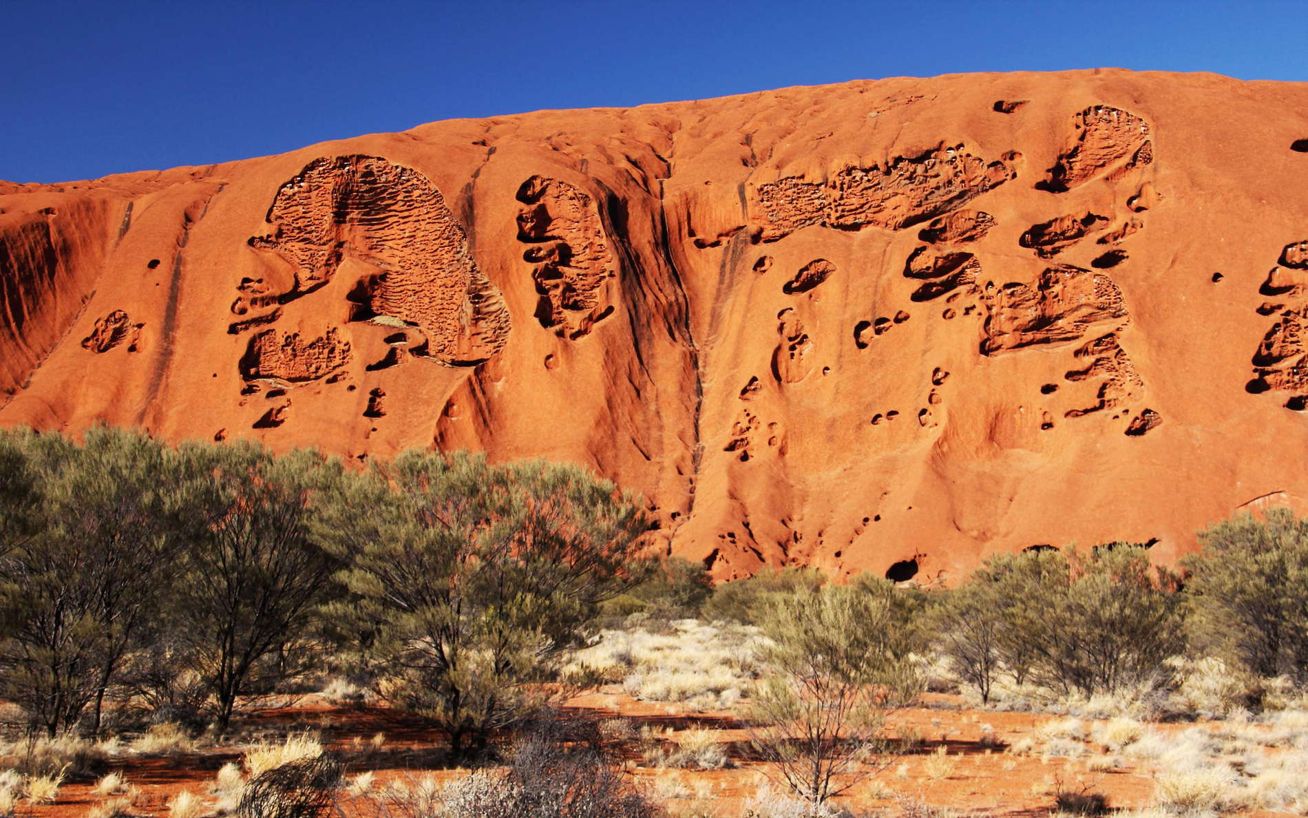 Location: Uluru-Kata Tjuta National Park, view of the northeast face of Australia's major landmark. This inselberg consists of Mutitjulu arkose (a formation of fluvial sandstone). At a summit elevation of 863 m, Uluru rises approx. 350 m above the surrounding plains and has a high spiritual significance to the local Anangu people. WI_nt078a.jpg