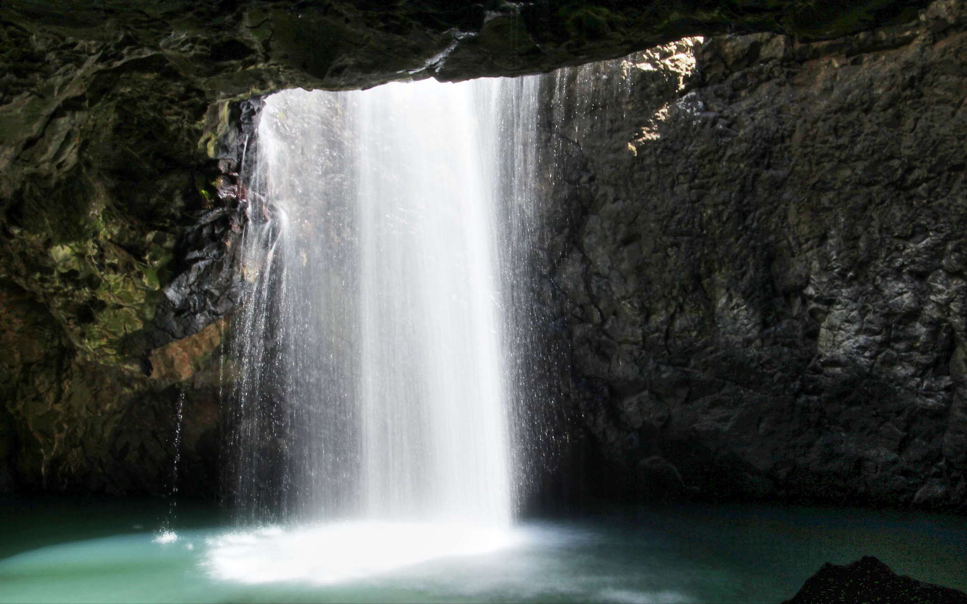 This national park was included in the UNESCO World Heritage Site of the Gondwana Rainforests of Australia in 1994. WI_ql017a.jpg