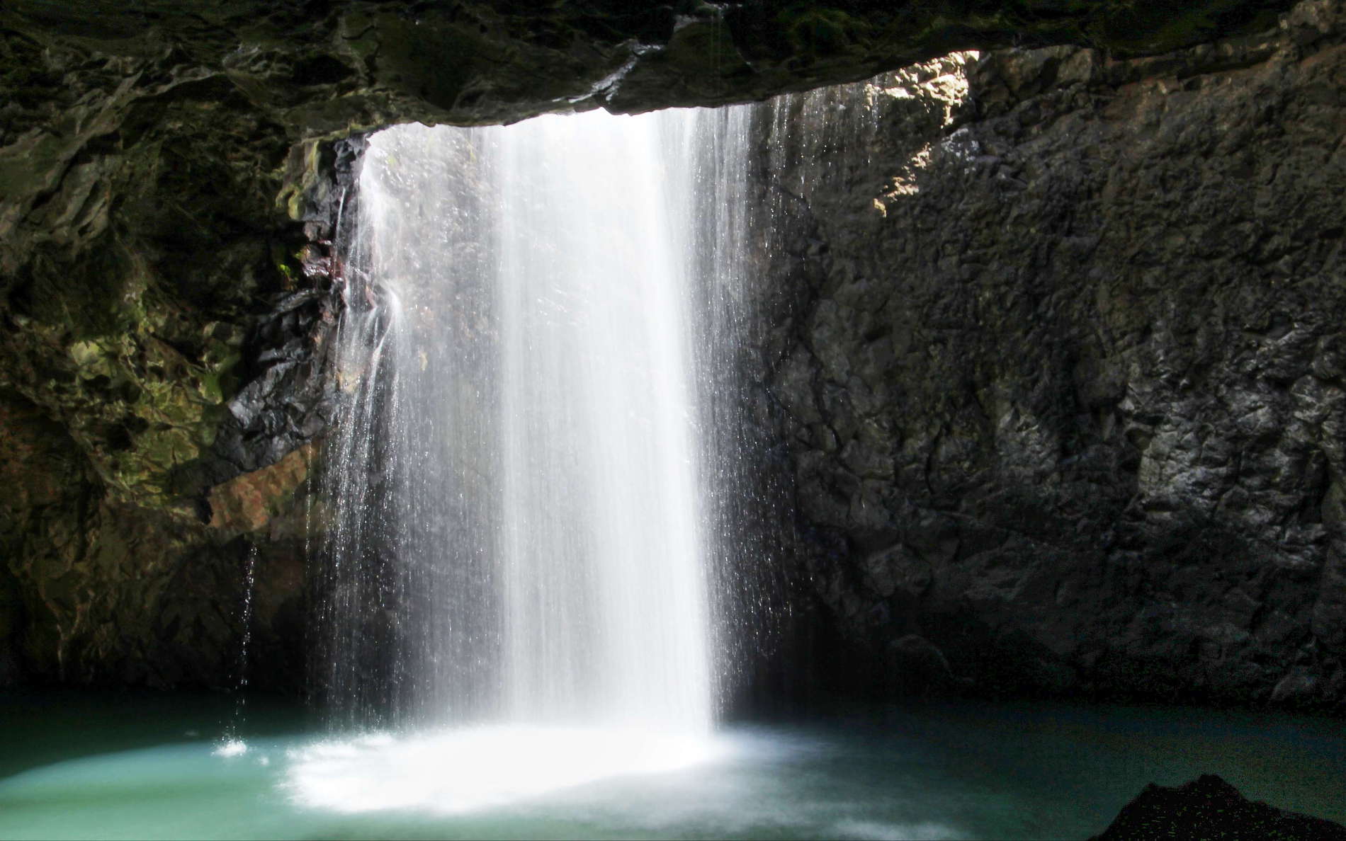 Springbrook NP  |  Natural Bridge