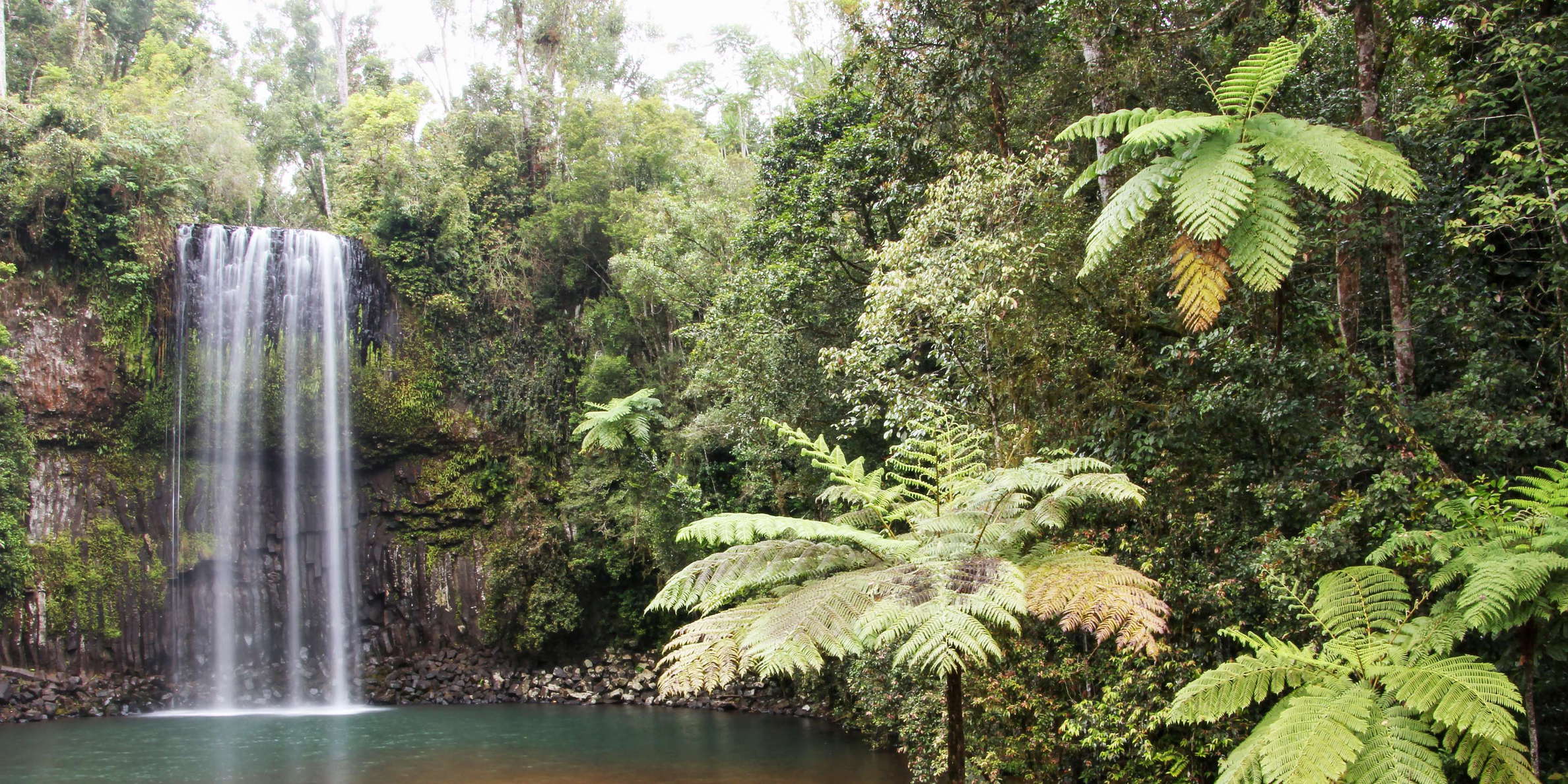 Atherton Tablelands   |  Millaa Millaa Falls