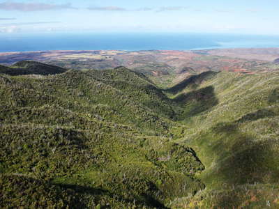 Kawaipapa Valley