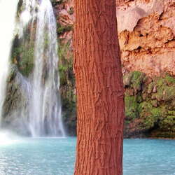 USA | Arizona