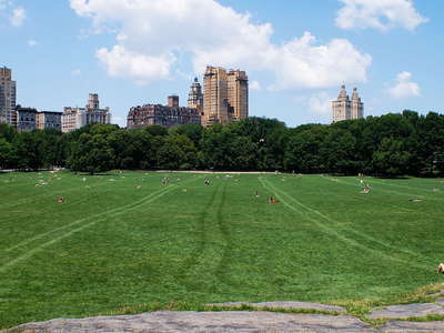 Central Park  |  Sheep Meadow