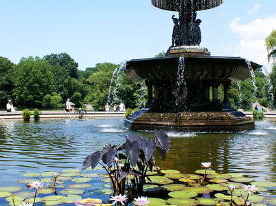 Central Park  |  Bethesda Fountain