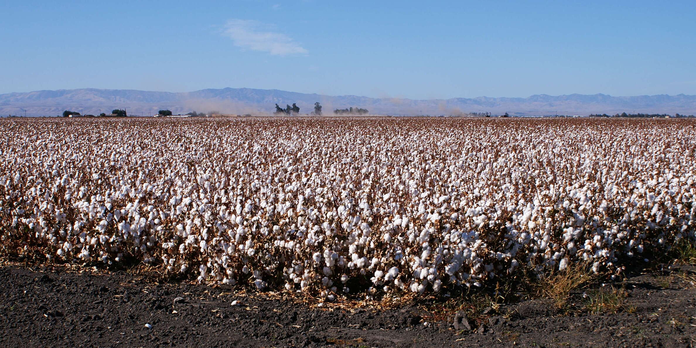 View from State Route 198. The San Joaquin Valley represents California's centre of agricultural production. Farming in this southern part of the Central Valley relies on a sophisticated irrigation system. WI_ca092.jpg
