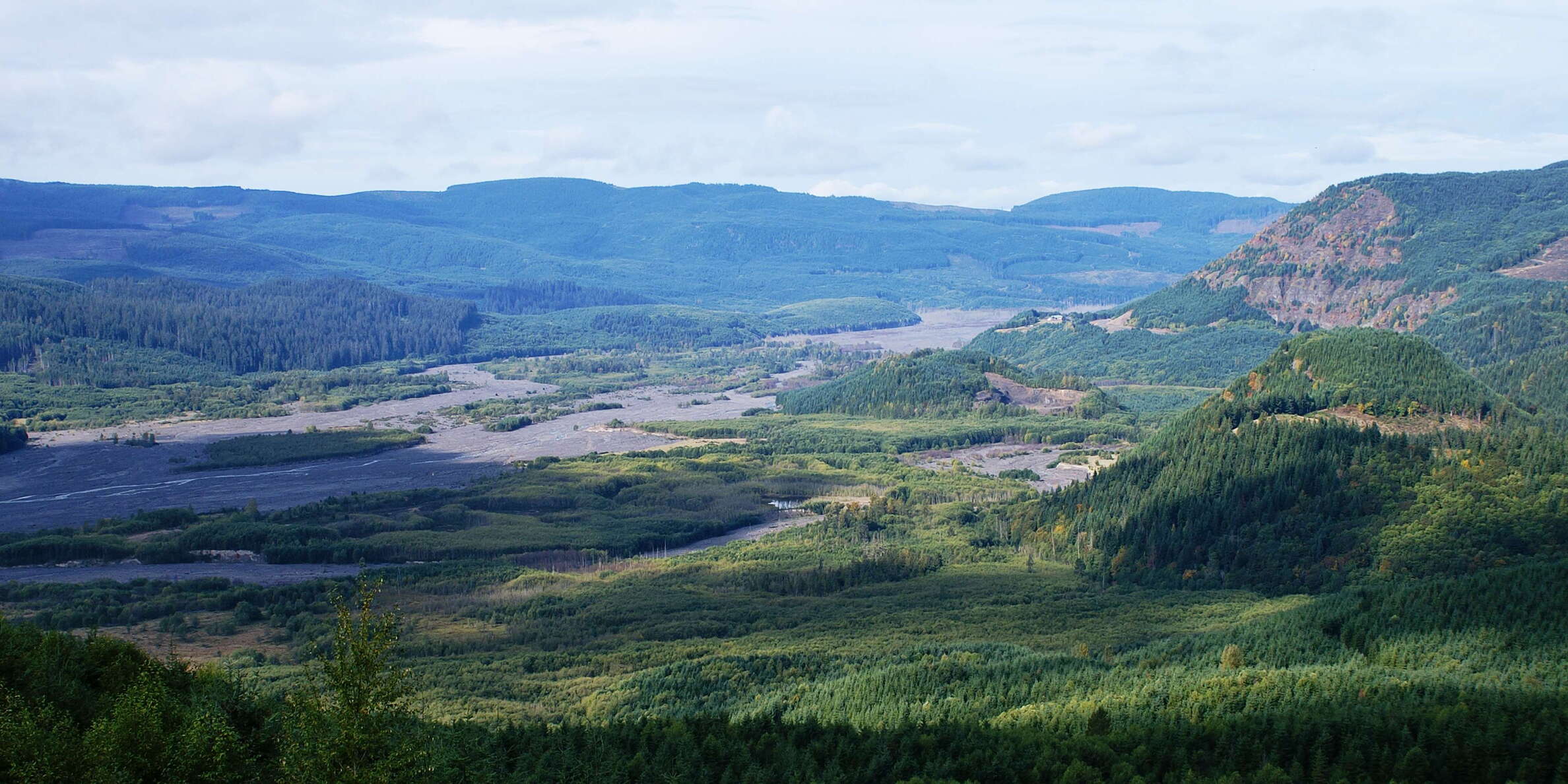 View from State Route 504 (Spirit Lake Highway) downstream towards west. This valley was reshaped by a lahar flow during the 1980 eruption of the nearby Mount St. Helens. WI_wa029.jpg