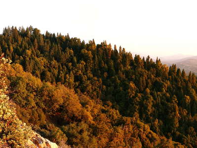 Sierra Nevada  |  Western slopes
