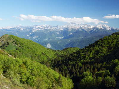 Southern Bohinj Range and Triglav