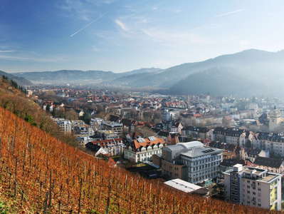 Freiburg im Breisgau | Vineyard and Dreisam Valley