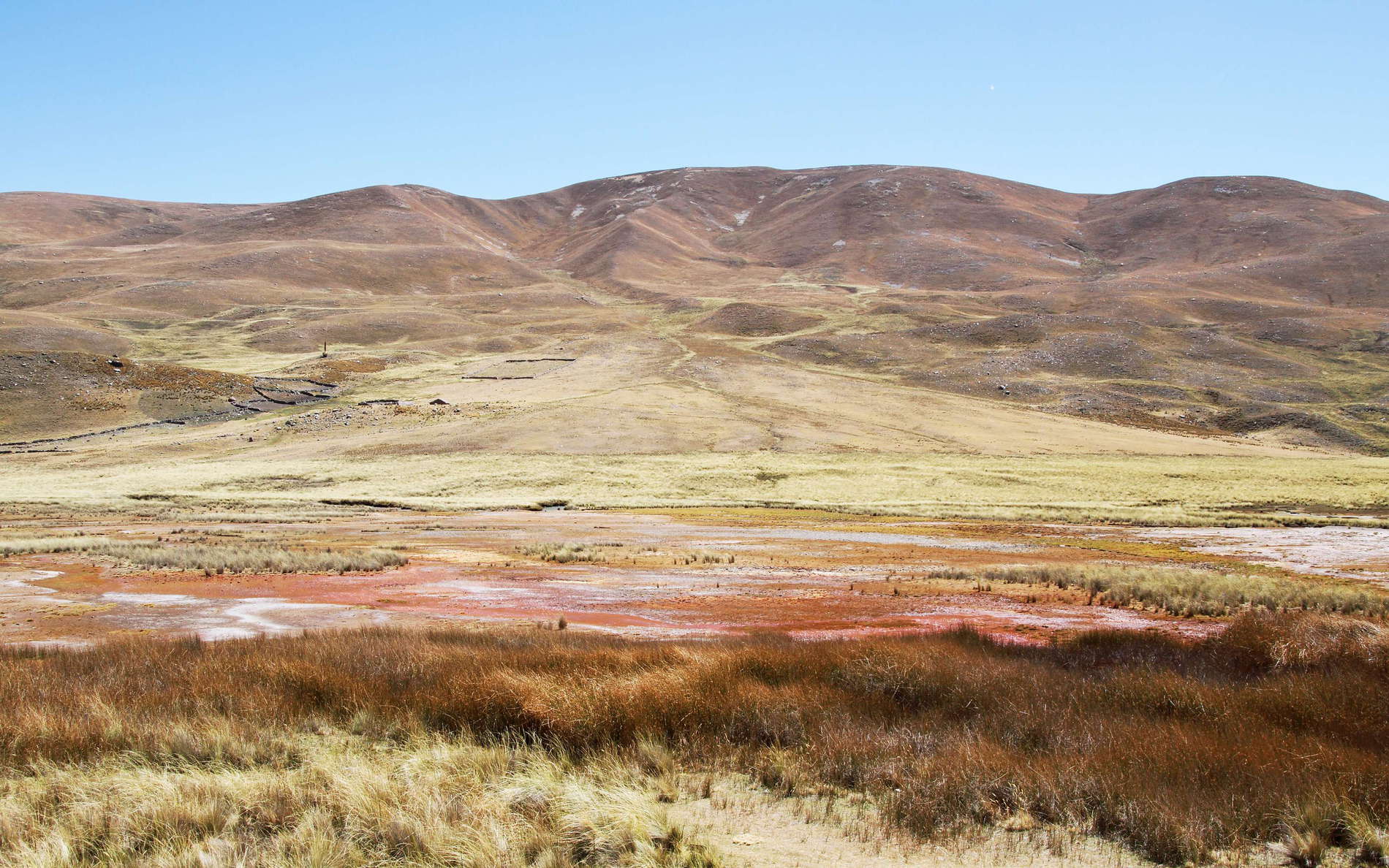 View from the road to Pastoruri Glacier, bofedal (high-Andean wetland) in the foreground. Elevation: approx. 4200 m asl. WI_pe074.jpg