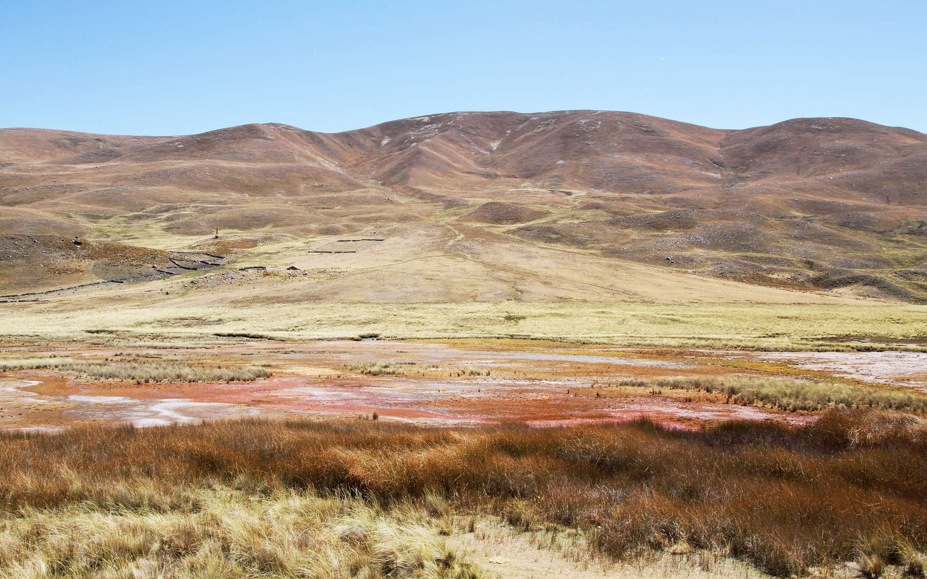 Pumapampa | Puna landscape with bofedal