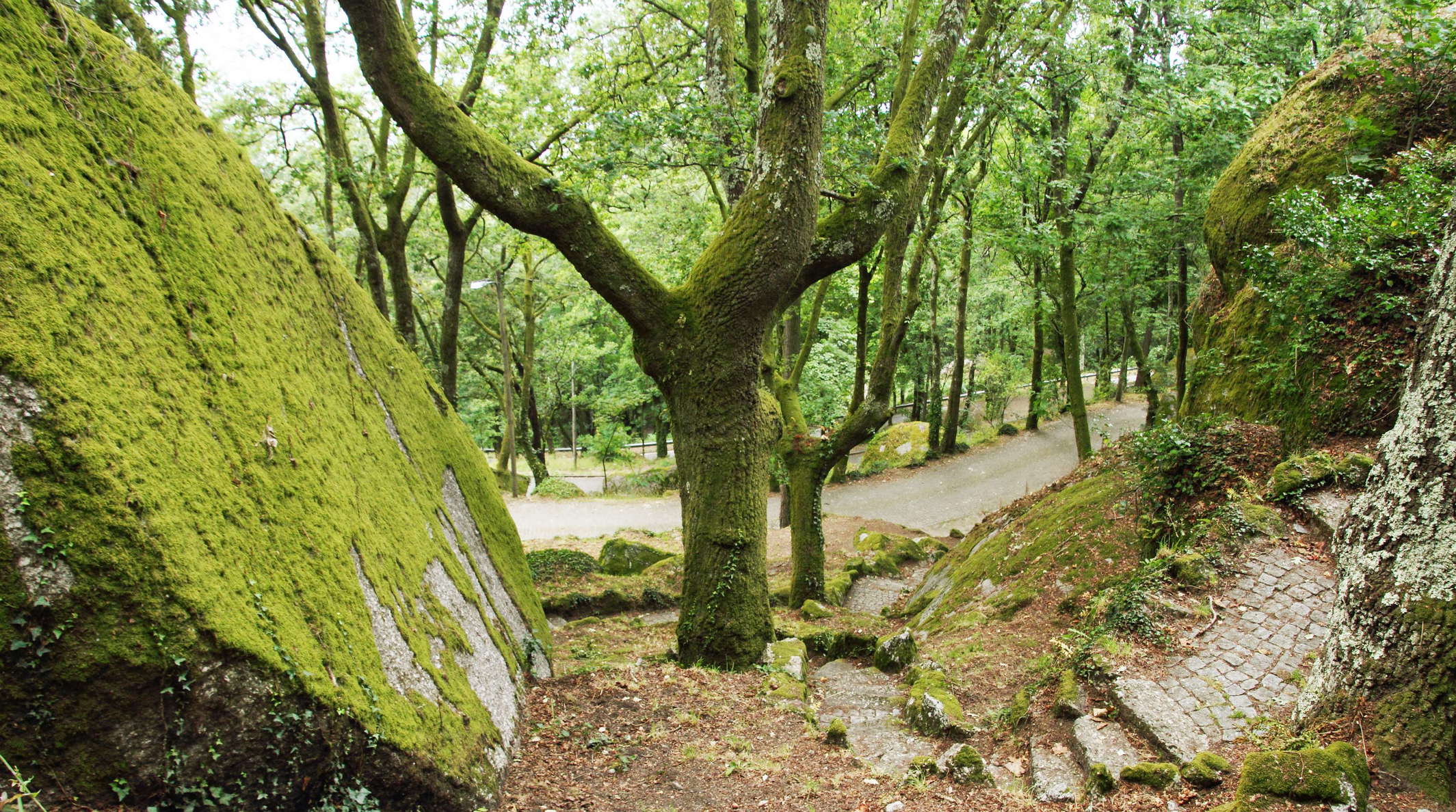 Guimarães  |   Serra da Penha