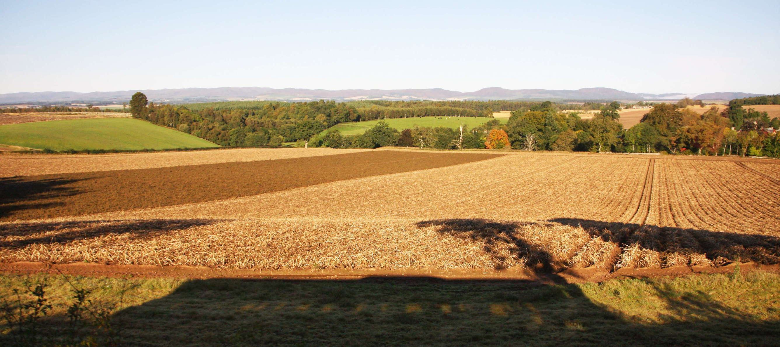 Perth  |  Autumn landscape