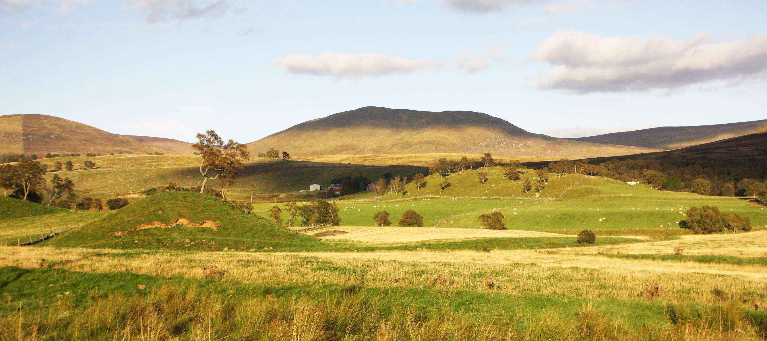 Late afternoon view from the road A93 in eastern direction WI_uks080.jpg