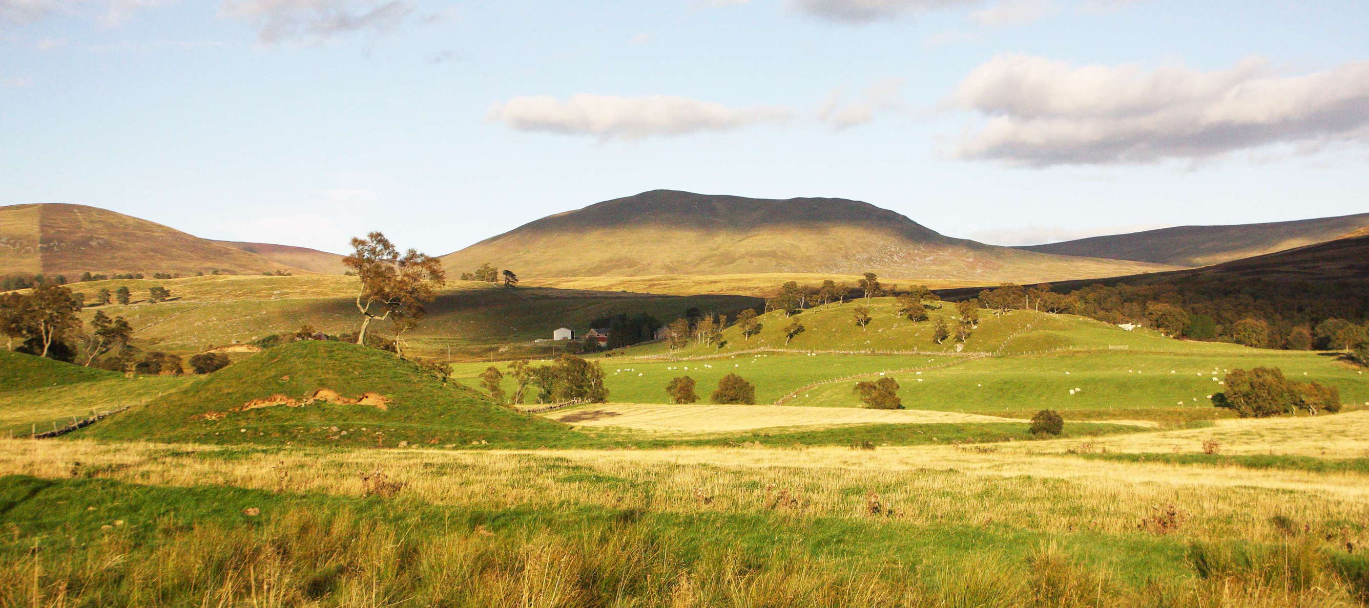 Glen Shee  |  Highland