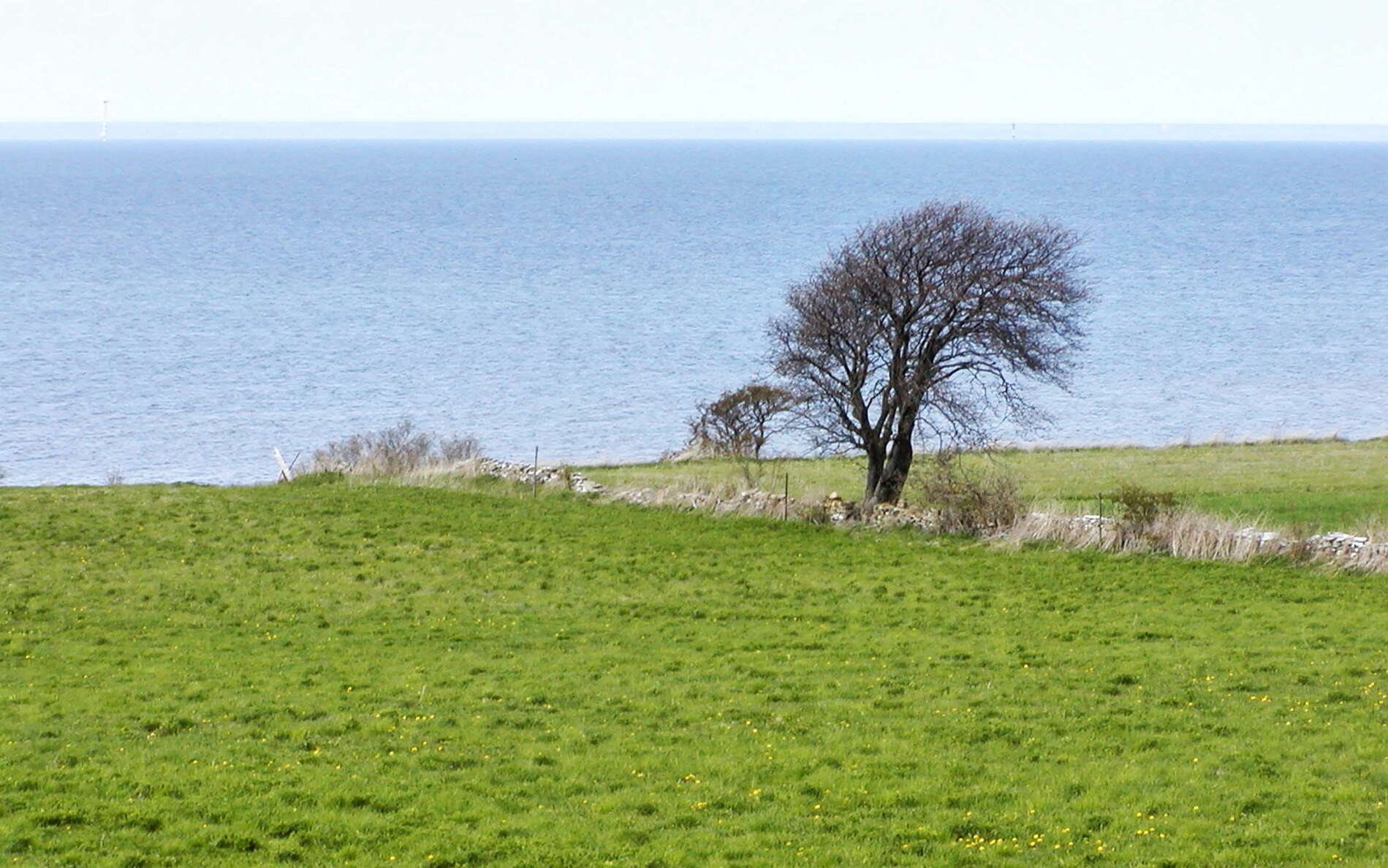 WI_se026.jpg