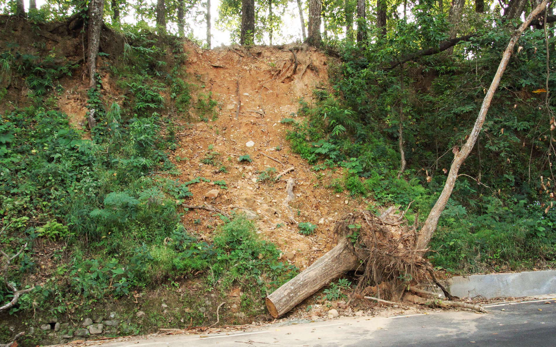 Sukna  |  Teesta megafan with landslide