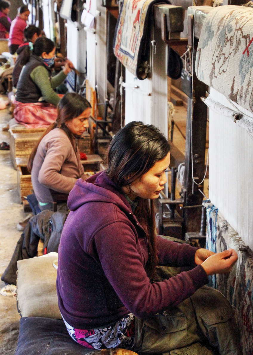 Darjeeling  |  Tibetan Refugee Self Help Centre