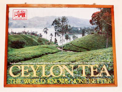 Nuwara Eliya  |  Pedro Tea Factory